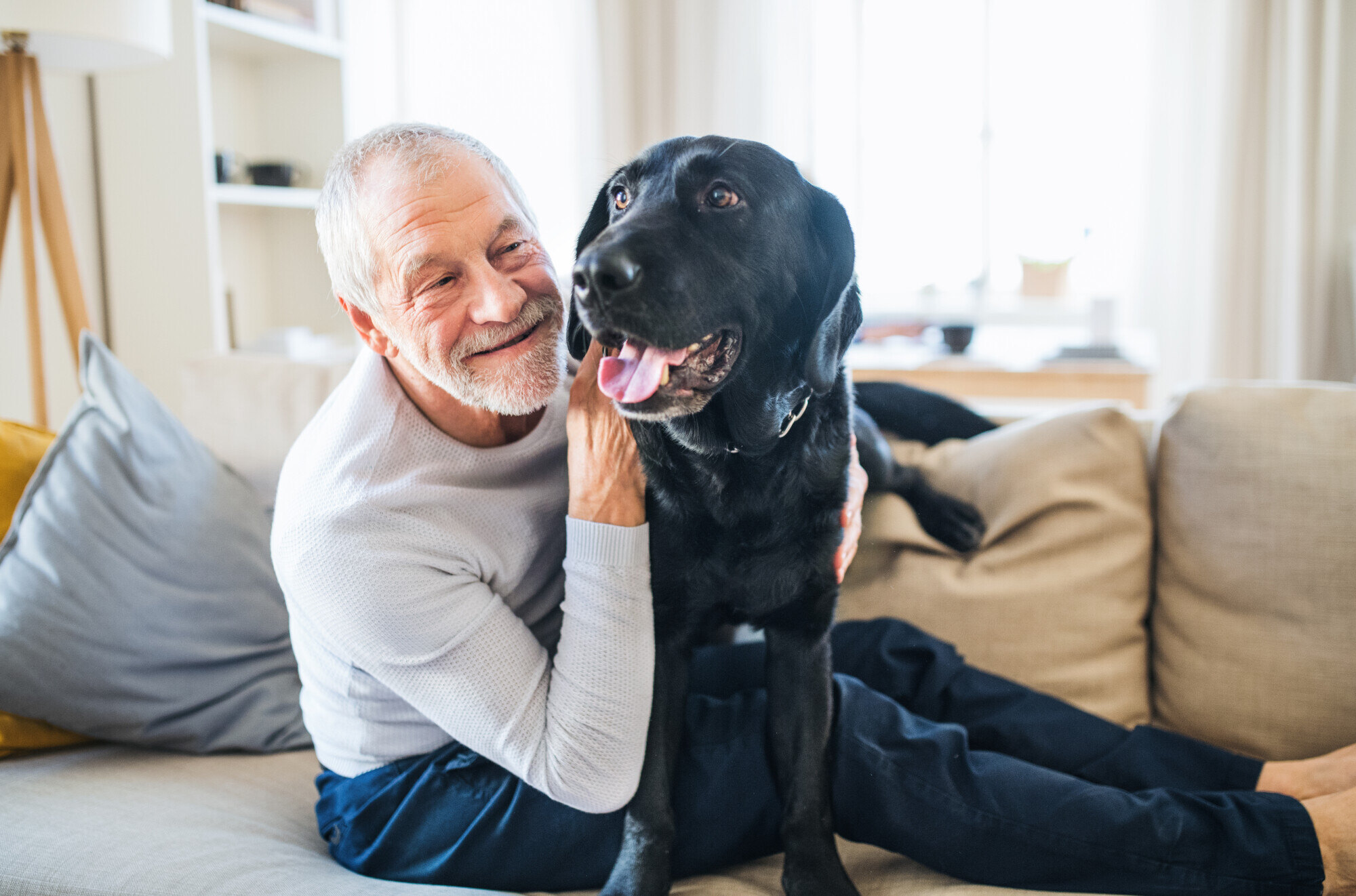 8 Best Pet-Friendly Senior Living Amenities to Consider